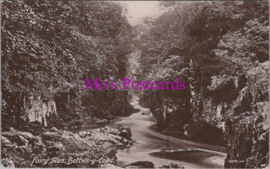 Wales Postcard - Fairy Glen, Bettws-Y-Coed   DZ312