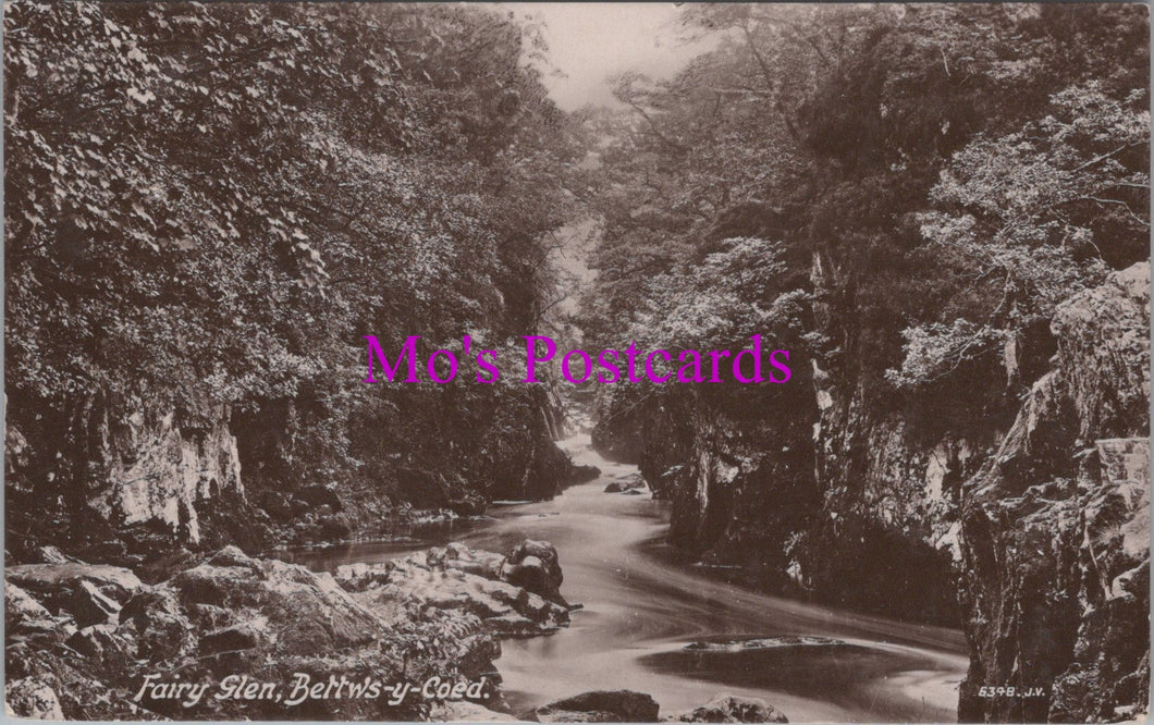 Wales Postcard - Fairy Glen, Bettws-Y-Coed   DZ312