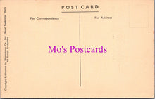 Load image into Gallery viewer, Wales Postcard - Colwyn Bay, The Dingle    DZ314
