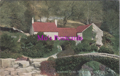 Northumberland Postcard - Jesmond Dene, Newcastle-on-Tyne   SW14417
