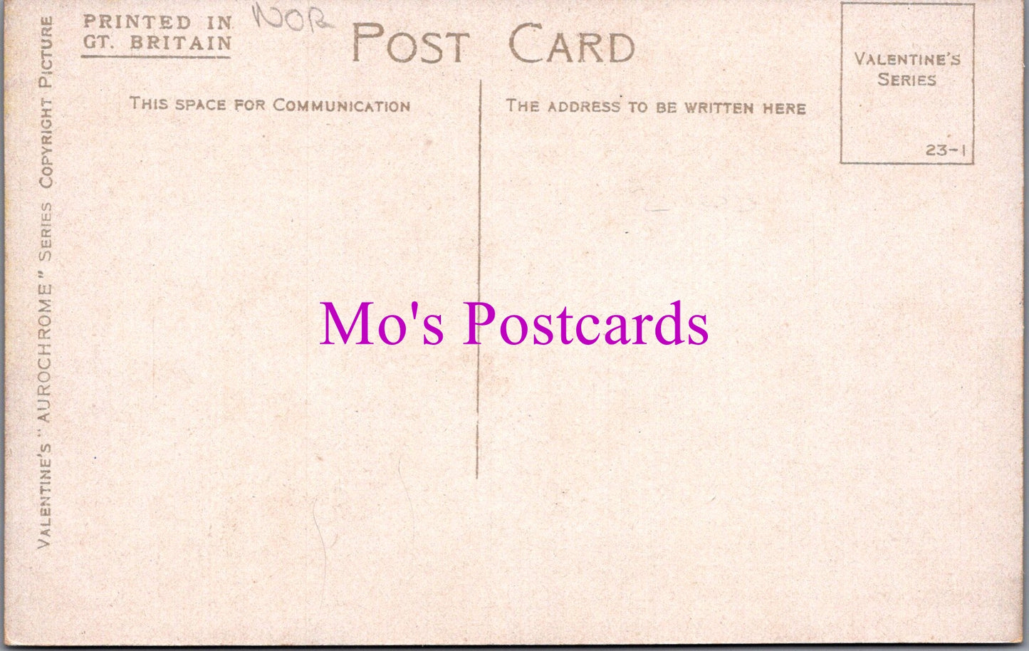 Norfolk Postcard - Norwich, Pulls Ferry   SW14422