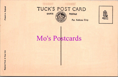 Cumbria Postcard - Grandy Nook, Hawkshead    SW14429