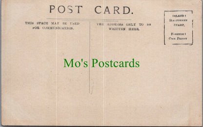Musical Postcard - Musicians, An Organist and Violinist SW13779
