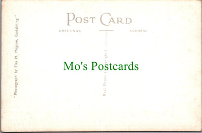 Surrey Postcard - Winkworth Arboretum SW13789