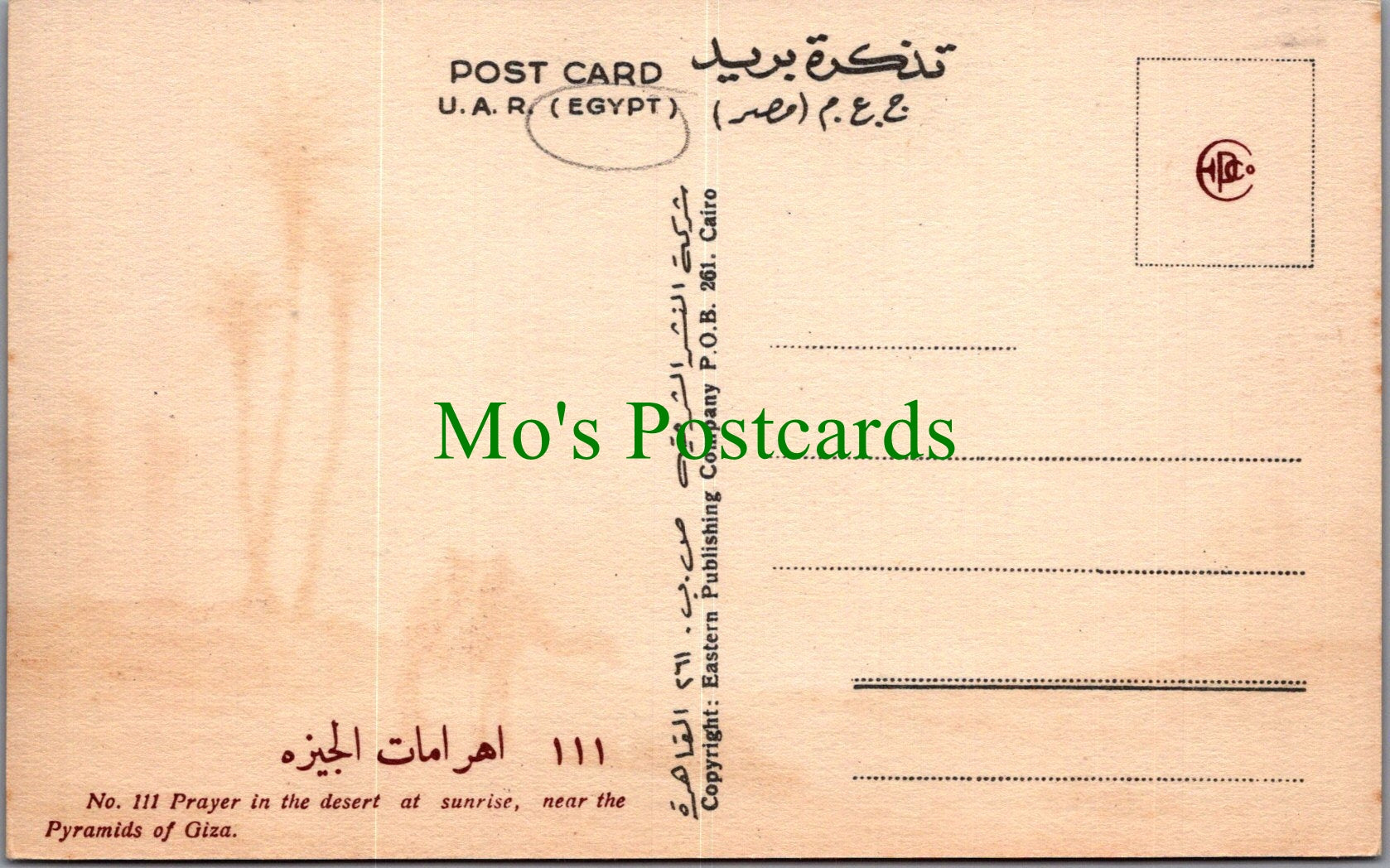 Egypt Postcard - Prayer in The Desert at Sunrise  SW13794