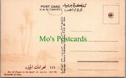 Egypt Postcard - Prayer in The Desert at Sunrise  SW13794