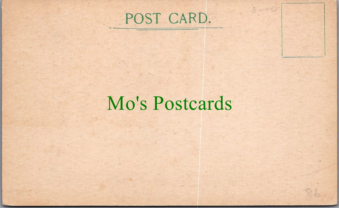 Dorset Postcard - Bournemouth, Tower House Pension   SW13974