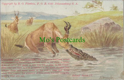 Animal Postcard - Crocodile and Hartebeeste   SW13994
