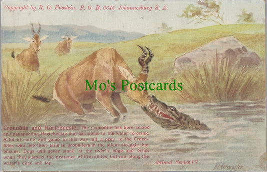 Animal Postcard - Crocodile and Hartebeeste   SW13994