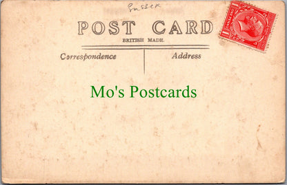 Sussex Postcard - Ladys Wood, Chelwood Gate SW14027