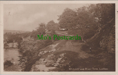 Shropshire Postcard - Whitcliff and River Teme, Ludlow   SW14051