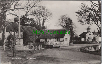 Dorset Postcard - Ashmore Village SW14058