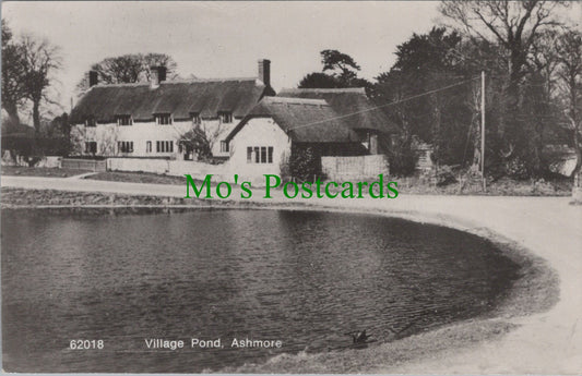 Dorset Postcard - Village Pond, Ashmore   SW14059