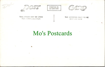 Dorset Postcard - Village Pond, Ashmore   SW14059