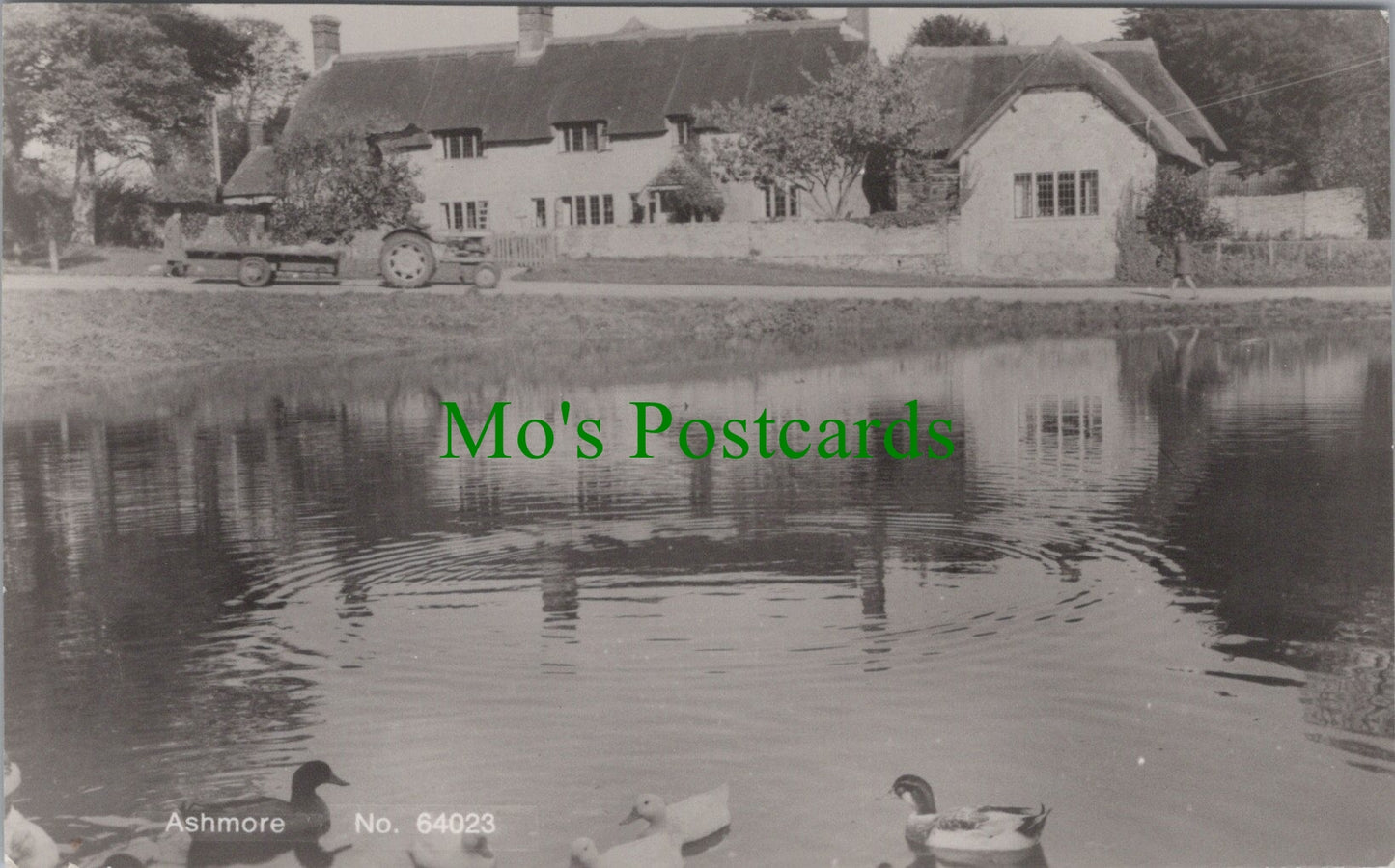 Dorset Postcard - Ashmore Village   SW14061