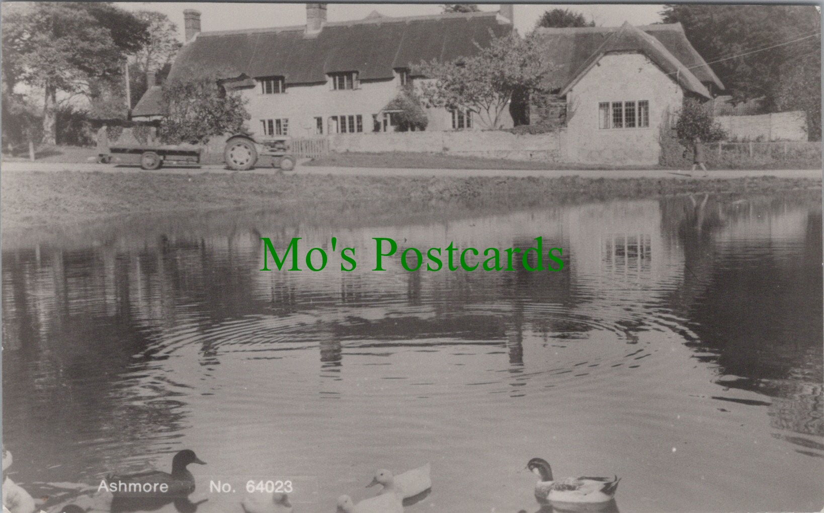 Dorset Postcard - Ashmore Village   SW14061