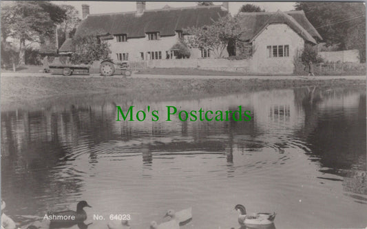 Dorset Postcard - Ashmore Village   SW14061