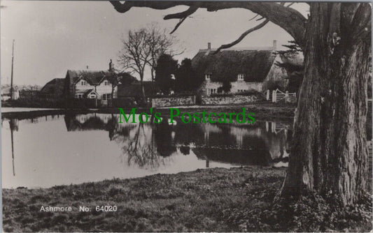 Dorset Postcard - Ashmore Village   SW14062