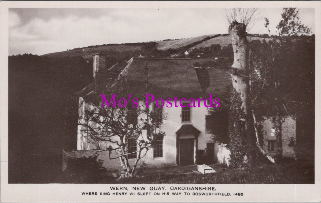 Wales Postcard - Wern, New Quay, Cardiganshire   SW14679