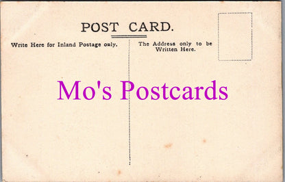 Wales Postcard - The Path To The Wyndcliff  SW14501