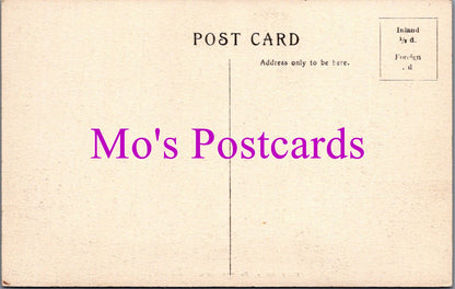 Kent Postcard - Pine Walk, Folkestone   SW14508