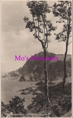 Devon Postcard - Hillsborough, Ilfracombe    SW14512