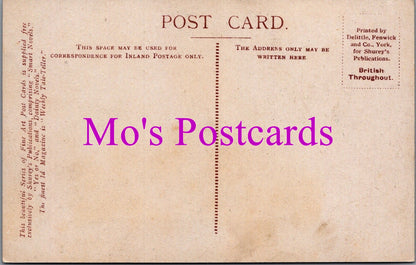 Northumberland Postcard - Henshaw, Bardon Mill   SW14538