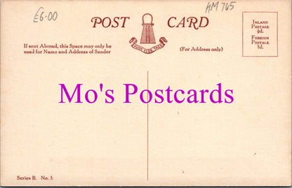 Hertfordshire Postcard - The Royal Masonic Institution For Boys, Bushey  HM705