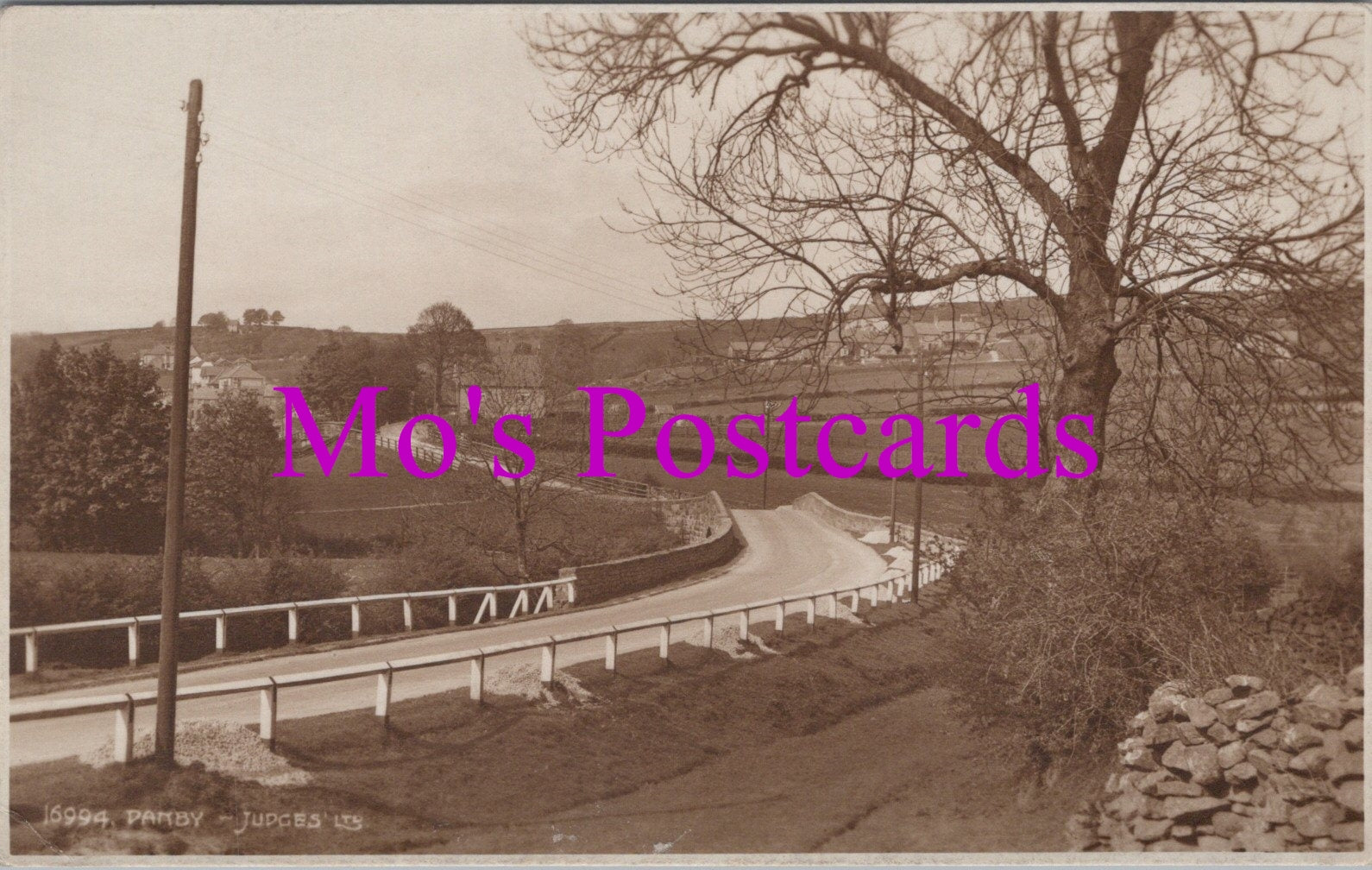 Yorkshire Postcard - Danby Village   HM707