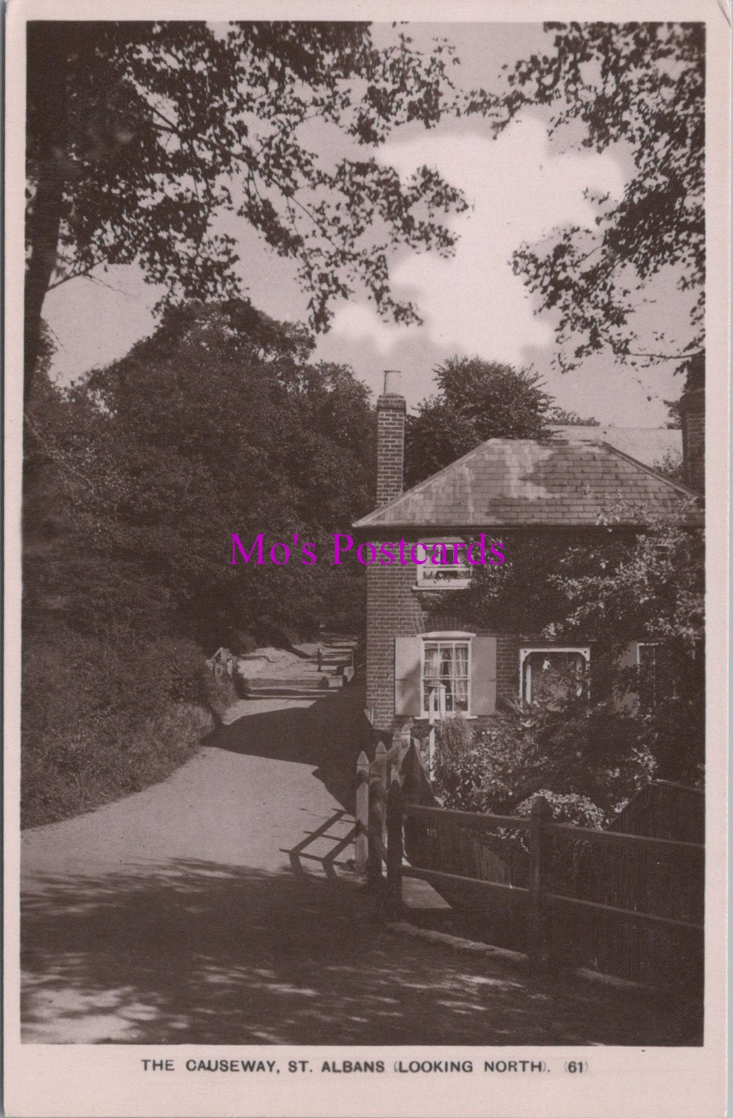 Hertfordshire Postcard - The Causeway, St Albans Looking South  DZ173