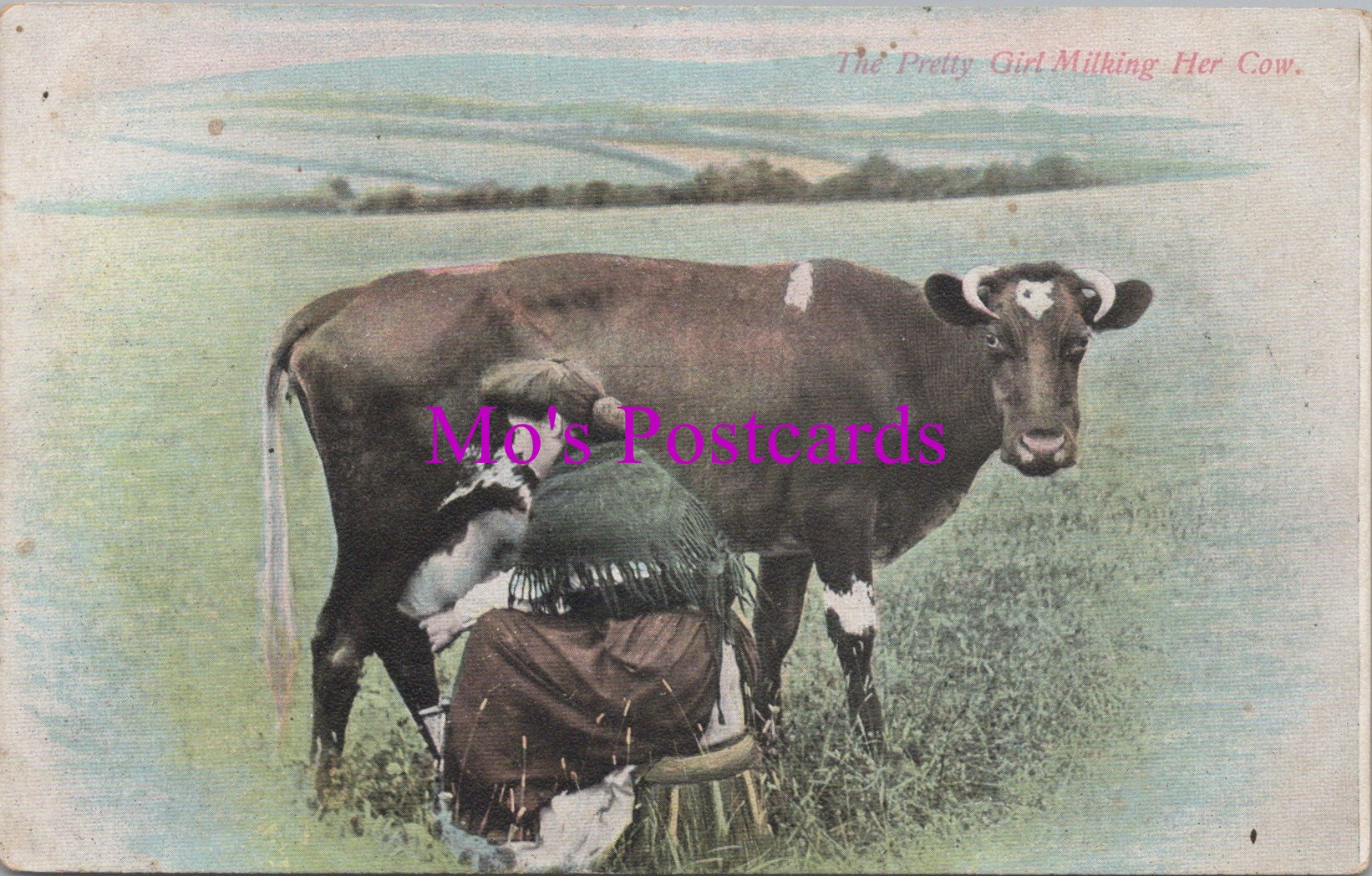 Animals Postcard - The Pretty Girl Milking Her Cow  DZ10