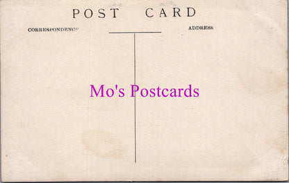 Animals Postcard - Camel Lines, Khartoum, Sudan  DZ11