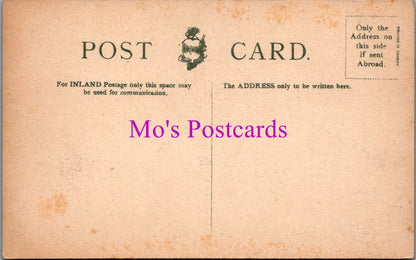 Sussex Postcard - Arundel Castle and Bridge   DZ186