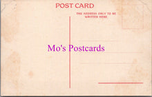 Load image into Gallery viewer, Animals Postcard - Sable Antelope, South Africa   DZ219
