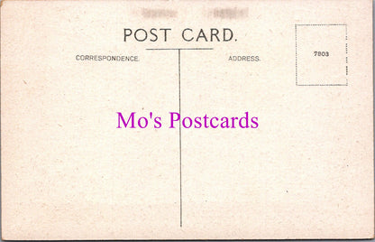 Devon Postcard - Bradworthy Village From Bradworthy Moor Hill DZ223