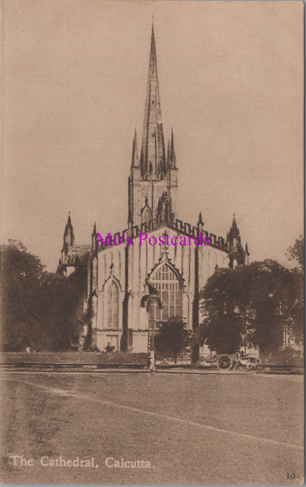 India Postcard - The Cathedral, Calcutta  SW16674