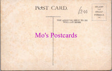 Load image into Gallery viewer, London Postcard - The Thames Embankment, A Steamer  SW16696
