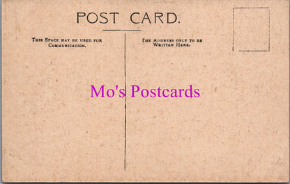 Sussex Postcard - Pevensey, Mint House, Part of The Kitchen  SW16699