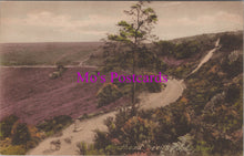 Load image into Gallery viewer, Surrey Postcard - Hindhead, Devil&#39;s Punch Bowl   SW16703
