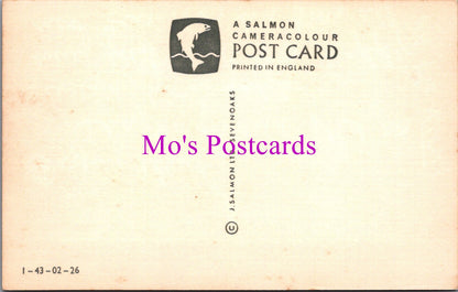 Cornwall Postcard - The Helston Furry Dance    SW16803
