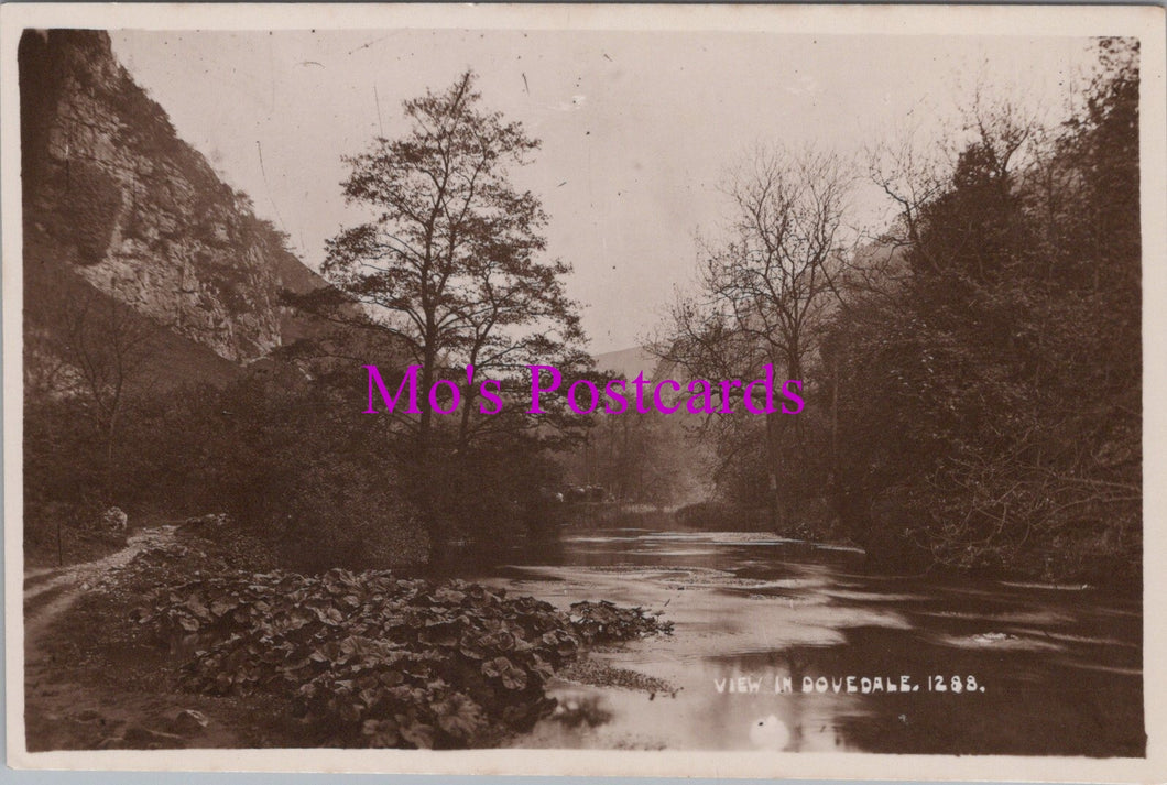 Derbyshire Postcard - View in Dovedale   SW16228