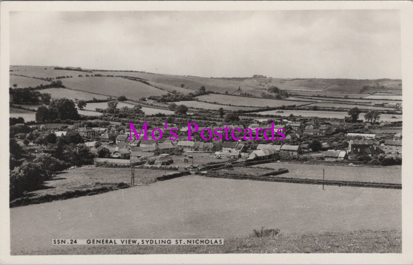 Dorset Postcard - View of Sydling St Nicholas   SW15612