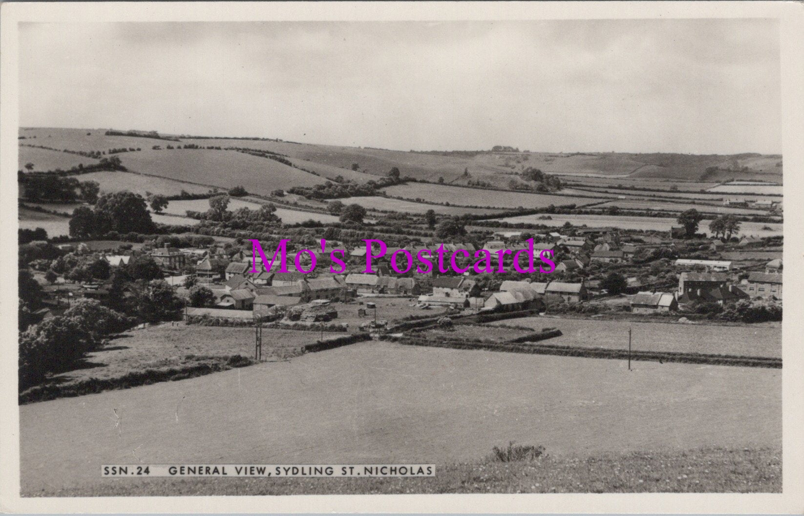 Dorset Postcard - View of Sydling St Nicholas   SW15612
