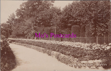 London Postcard - Bishops Park, Fulham  SW14873