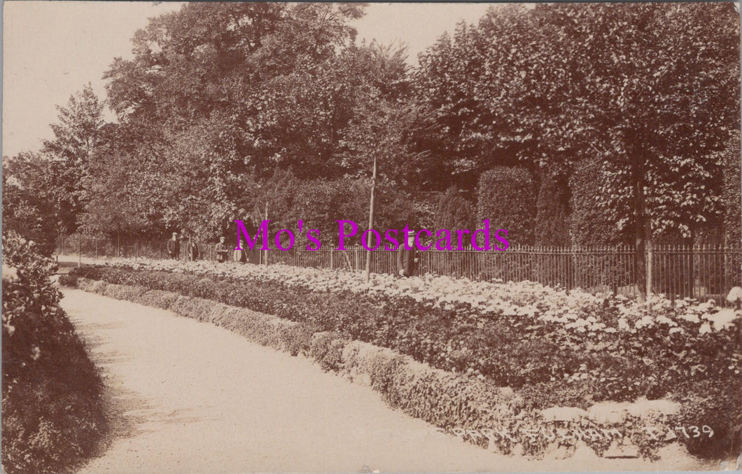 London Postcard - Bishops Park, Fulham  SW14873