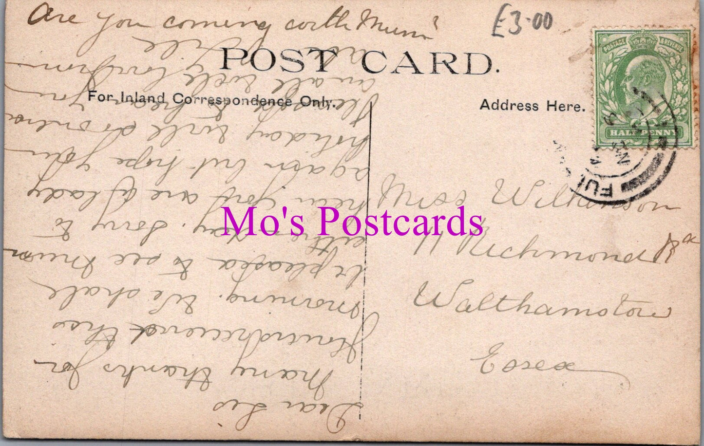 London Postcard - Bishops Park, Fulham  SW14873