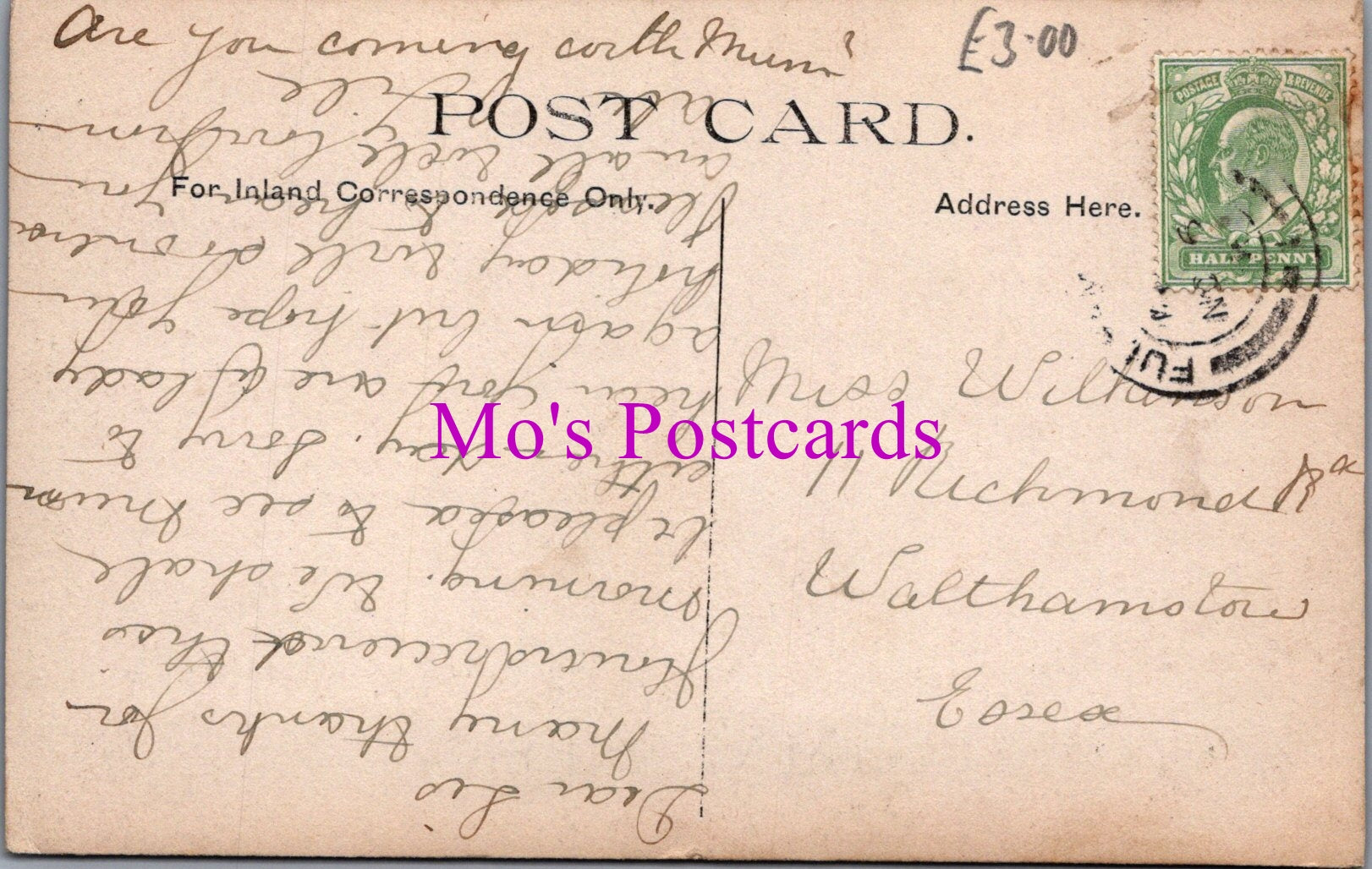 London Postcard - Bishops Park, Fulham  SW14873