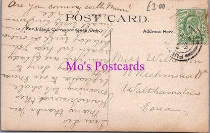 London Postcard - Bishops Park, Fulham  SW14873