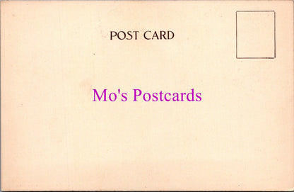 Worcestershire Postcard - The Manor House, Bewdley  SW14876