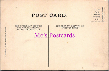 Wales Postcard - Cardiff, St Fagans Castle  SW14885